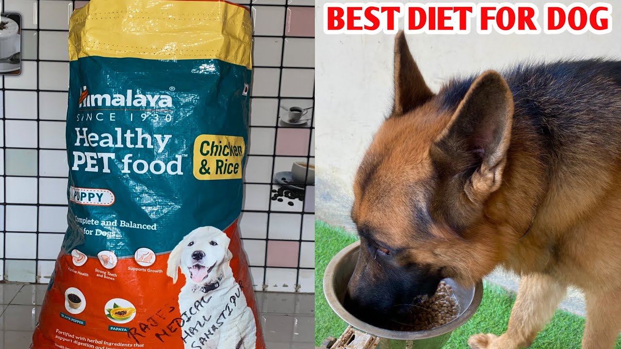 Himalaya Healthy Pet Food For Dogs | 1 year 3 months old ( Max )