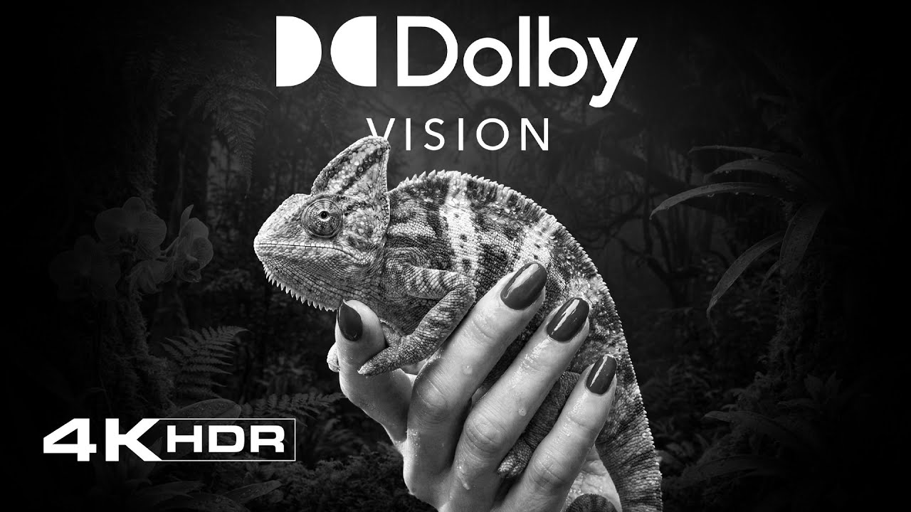 Dolby Vision 4K HDR Black & White Chrome | Extreme Contrast Display Test