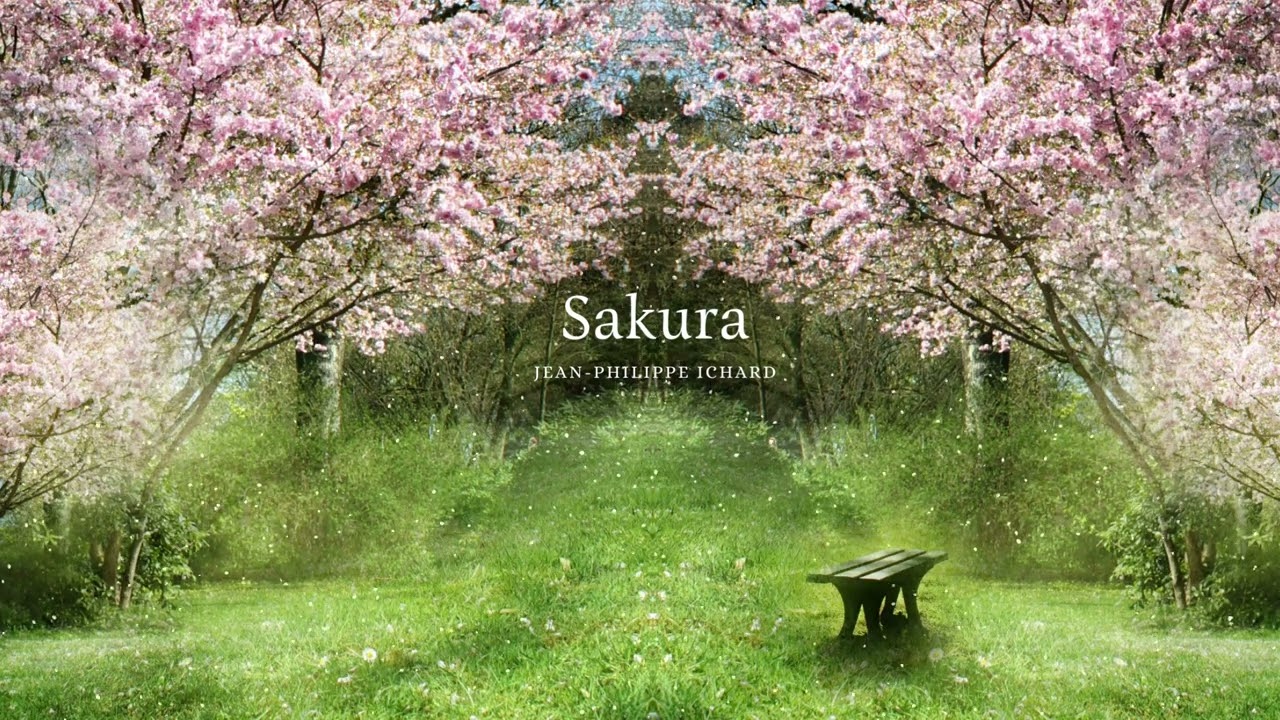 Sakura - Jean-Philippe Ichard