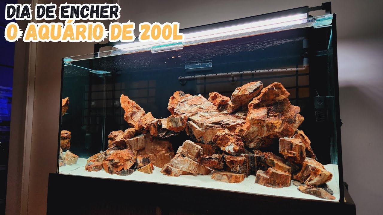 MONTANDO UM AQUÁRIO PARA CICLÍDEOS MBUNAS DE 200L DO ZERO - HORA DE ENCHER O AQUÁRIO