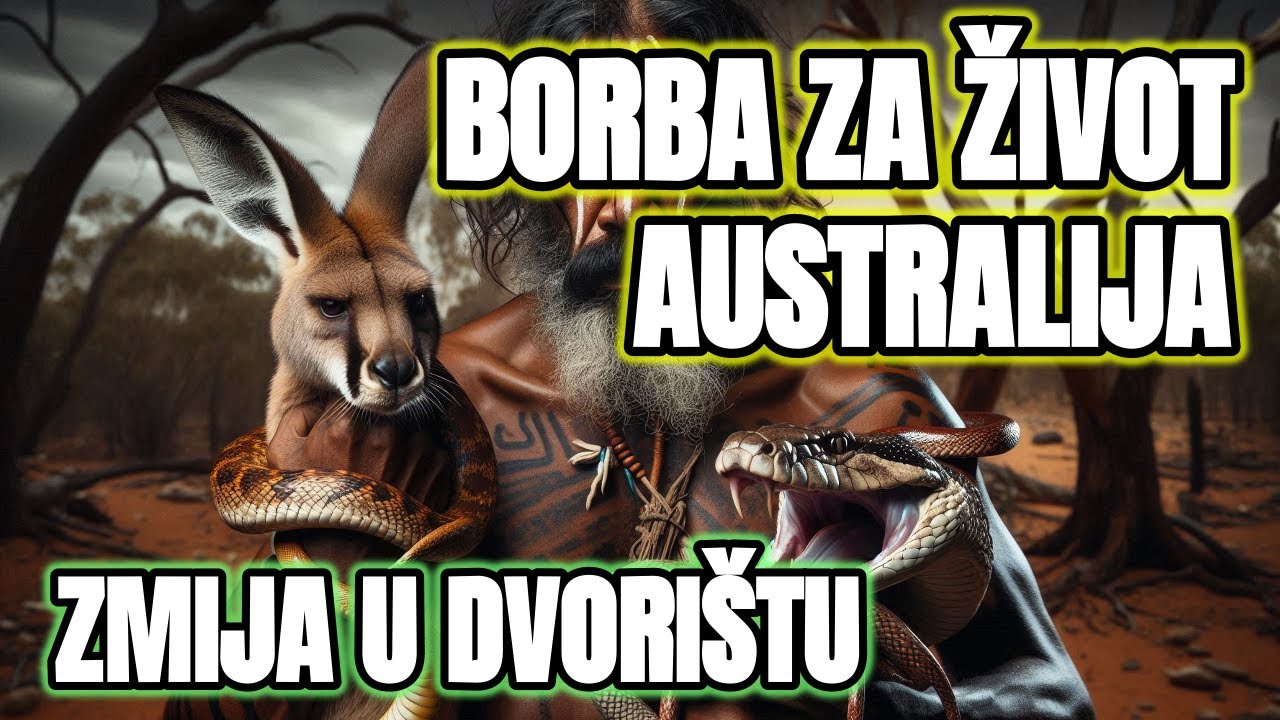Pridružite nam se u smije&scaron;nom i uzbudljivom pogledu na na&scaron; život u Australiji! | Zmije u Dvori&scaron;tu