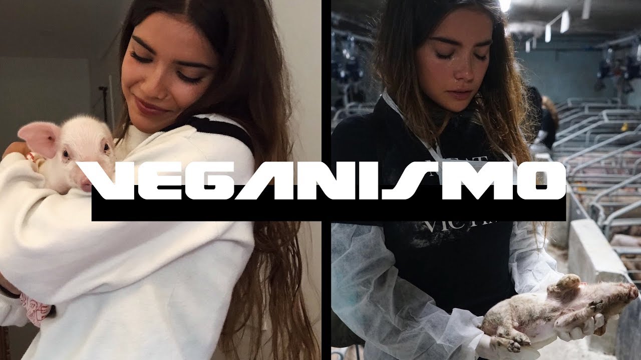 Veganismo Vs. Industrias Cárnicas - LUC LOREN & CARLOTA BRUNA
