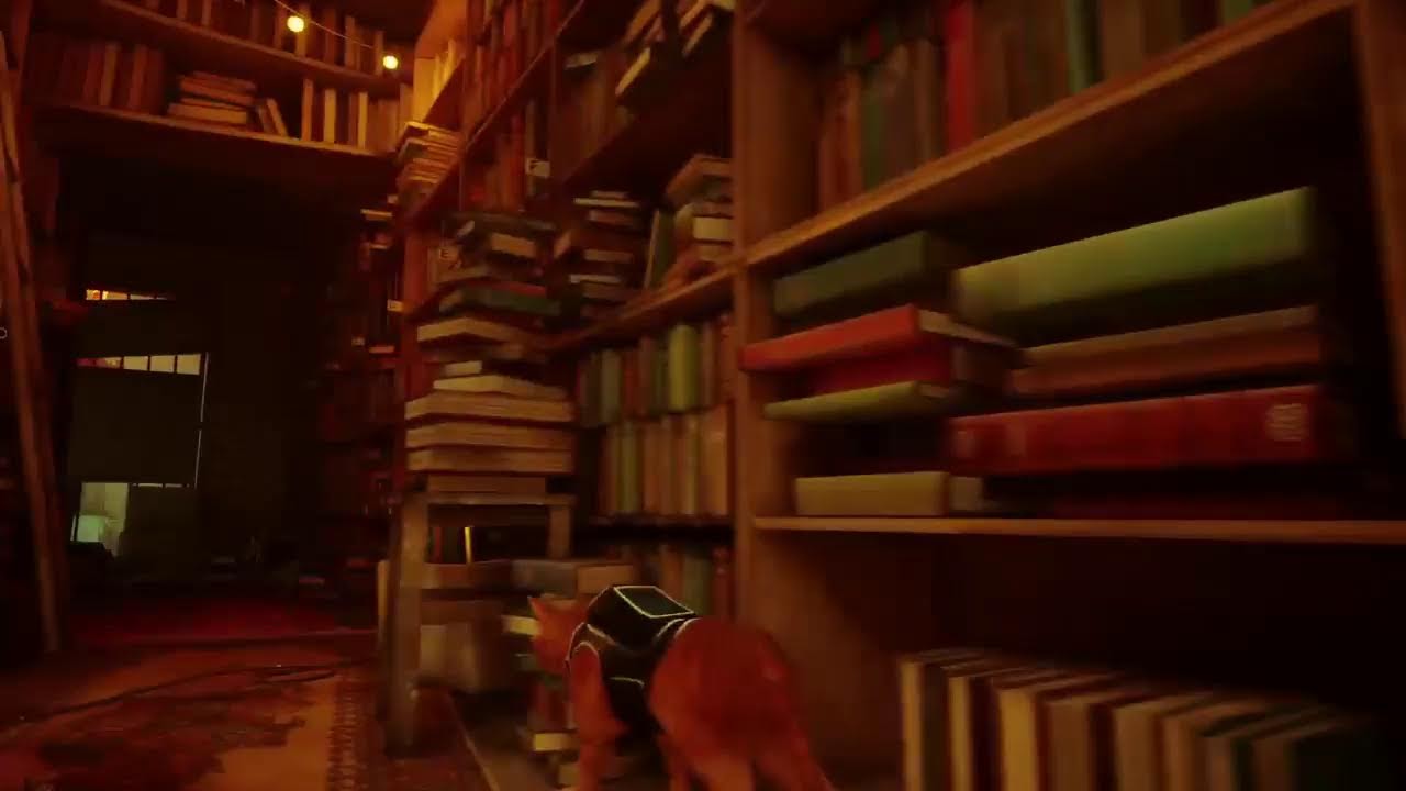 STRAY (PS4)