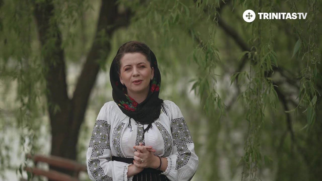 Sub o salcie pletoasă - Ana Maria Pătrășcioiu