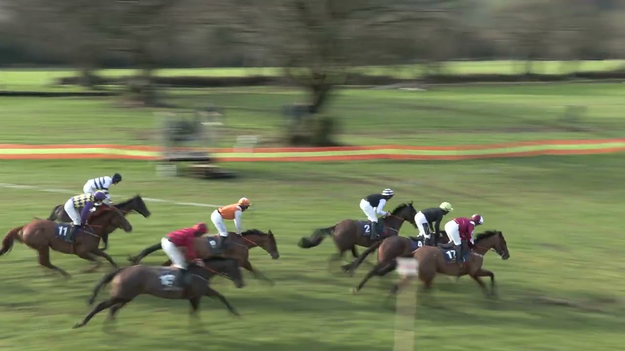 P2P - Ballycrystal - 18 Jan 26 - R2 Tattersalls Ireland Winter Sale & Cooney Furlong 5yo Geldings Md