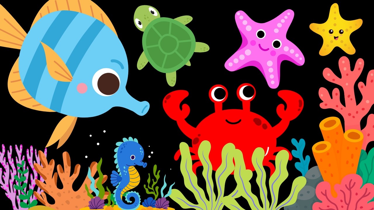 Baby Sensory Ocean Adventure High Contrast visual stimulation #babysensoryvideos #babysensory