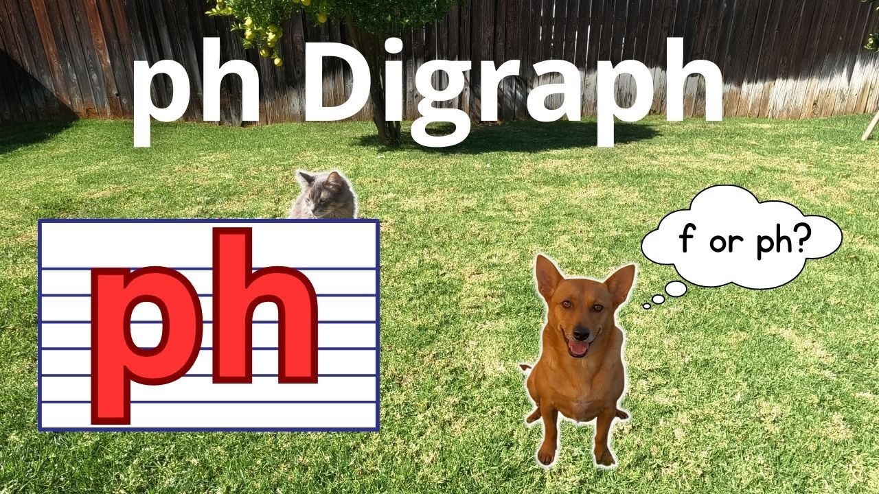 Professor Ginger and the ph Digraph | Words with f and ph | ph and the /f/ Sound