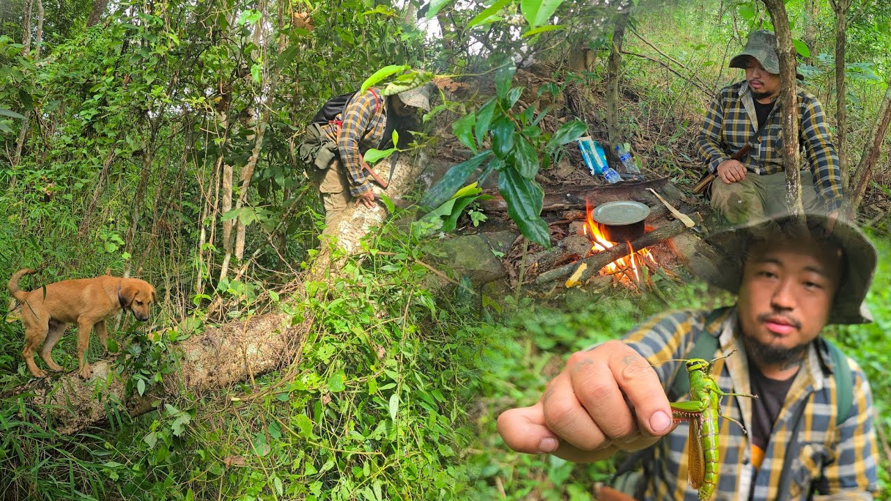 Sleeping in the jungle hunting for exotic worms and insects. 