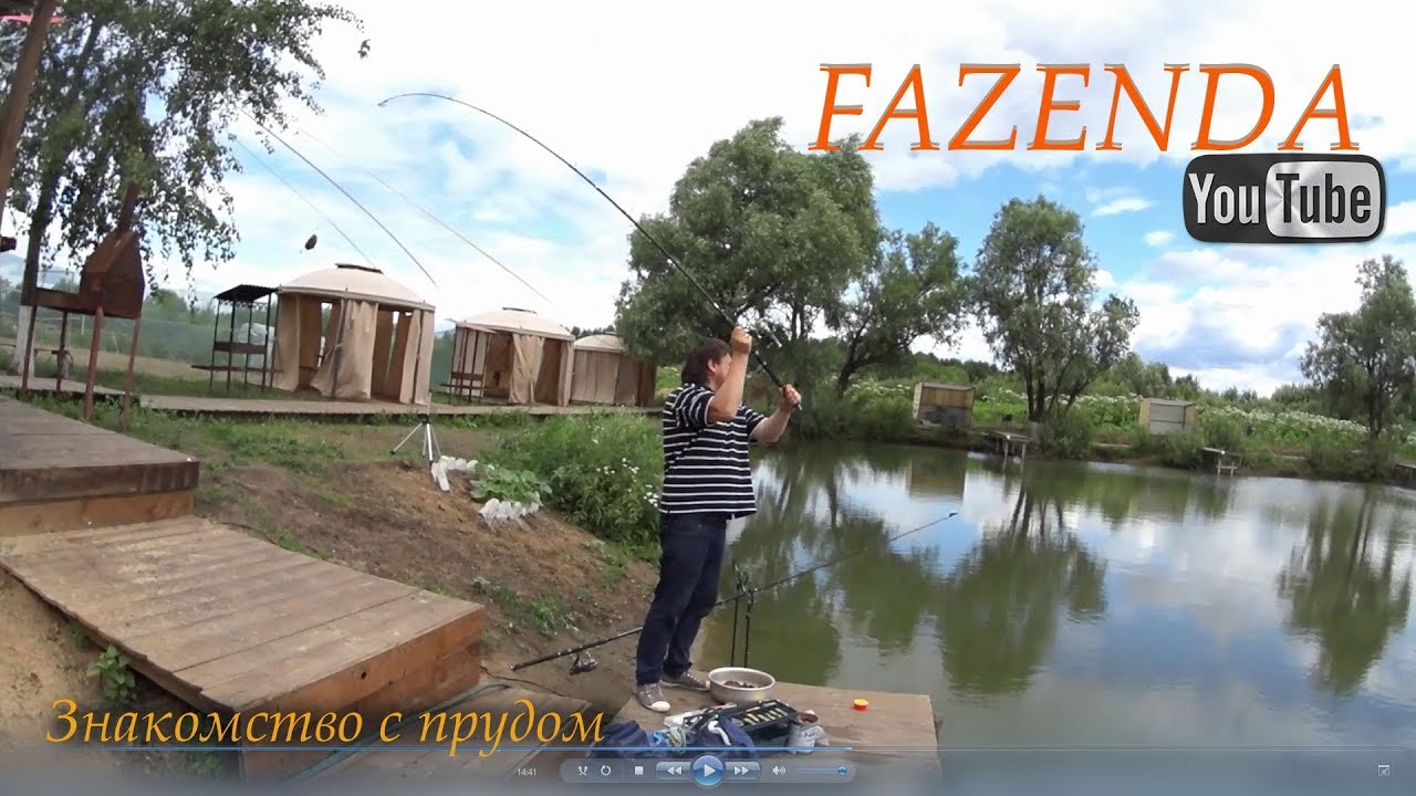 Платная Рыбалка В Химках ,,FAZENDA