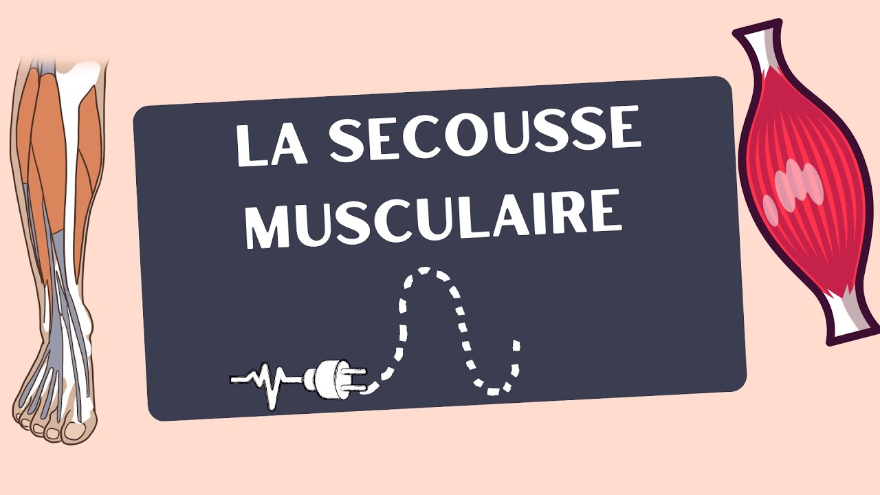 La Secousse Musculaire