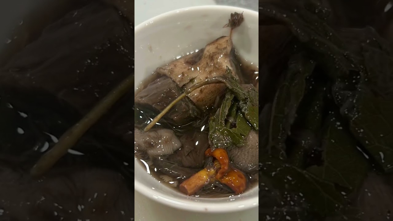 Грибы, грибы &ndash; царство живой природы