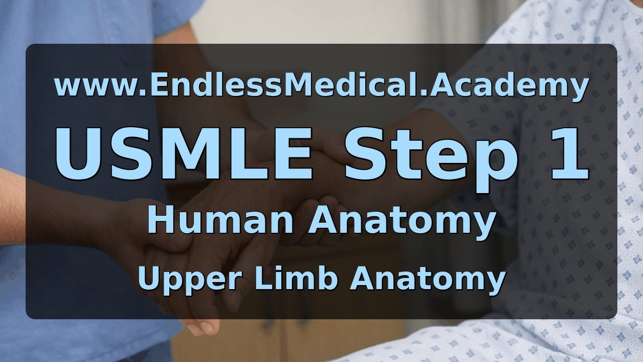 Upper Limb Anatomy, Human Anatomy, USMLE Step 1 - Full Vignette with Extended Explanations