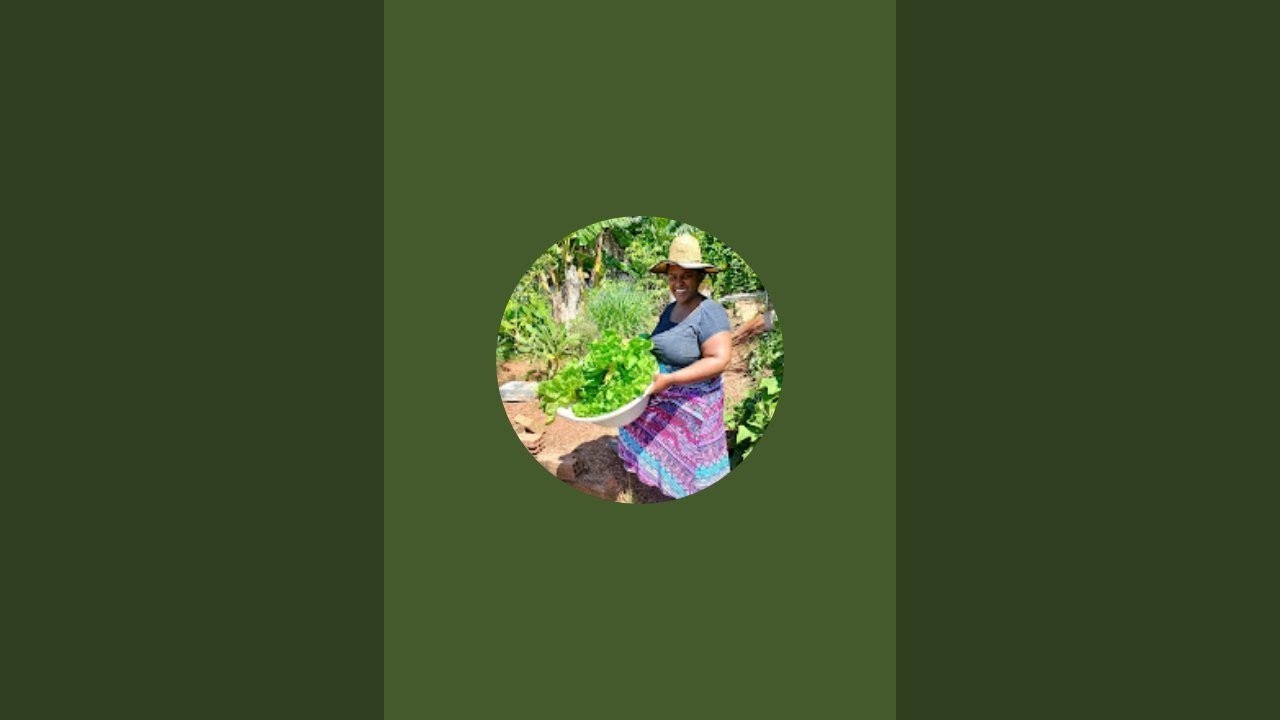 ROTINA  ROSY & Family 💓 está ao vivo!