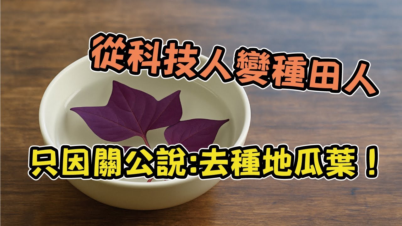 【台灣芯茶 XinTea】從科技人變種田人 只因關公說：去種地瓜葉！ 台灣大代誌專訪 關公救命茶 地瓜葉茶