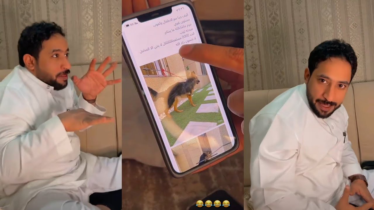 قصة مضرس مع الكلبب/ لا تفوتك🤣