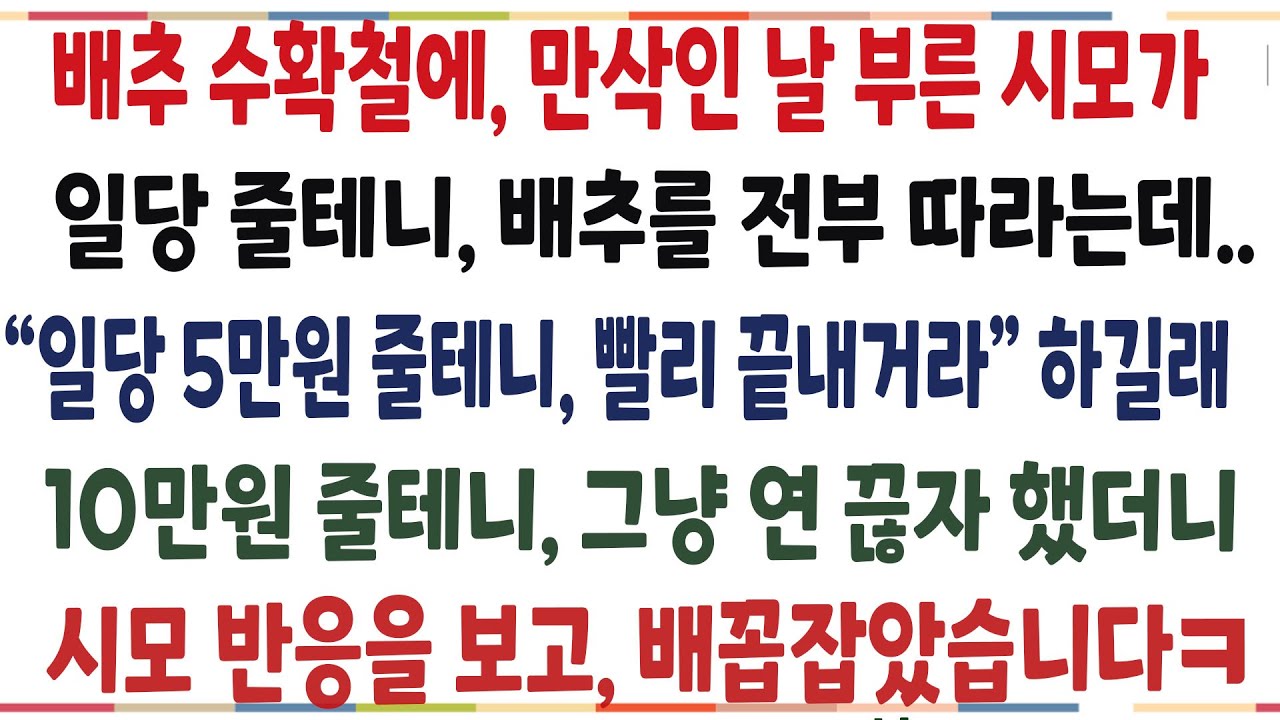 (반전신청사연)시모가 만삭인내게 일당 5만원 줄테니 받에있는 배추 전부따라고 하길래, 10만원 줄테니 연 끊자 했더니 시모 반응보고 배꼽잡는데ㅎ[신청사연][사이다썰][사연라디오]