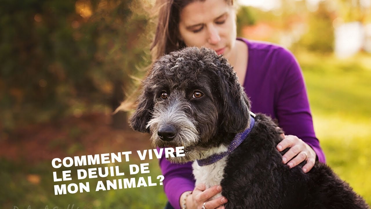 Comment vivre le deuil de mon animal?