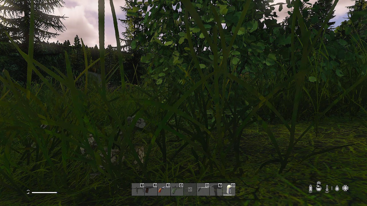 Sábado de DayZ pe| L2 Sudamerica