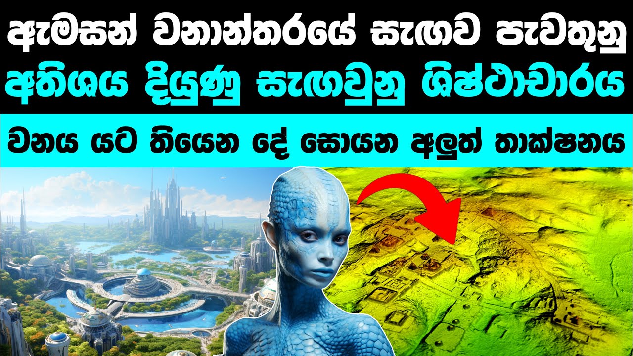 ඇමසන් වනාන්තරයේ තිබුනු අතිශය දියුණු ශිෂ්ථාචාරය කාගෙද? | A hidden civilization found in Amazon