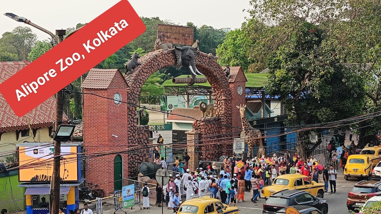 Aliporezoo Part 1