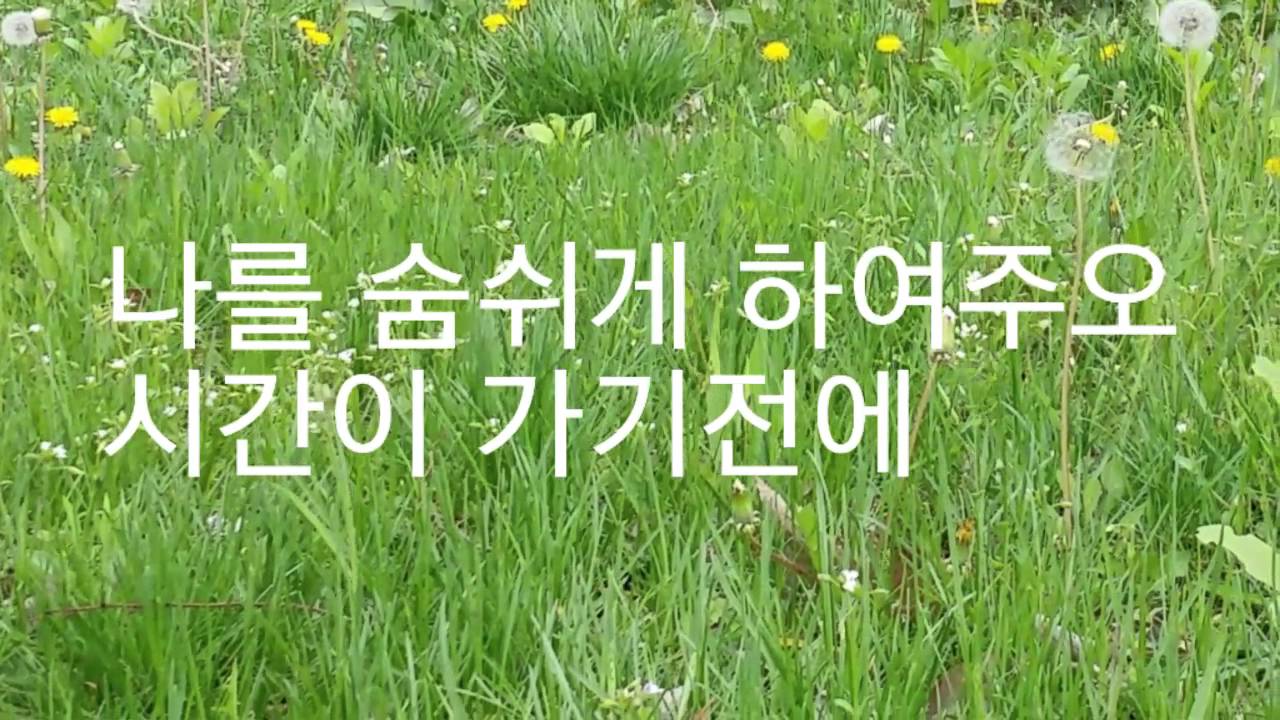 꽃이 바람에게 전하는 말(가사)-박강수