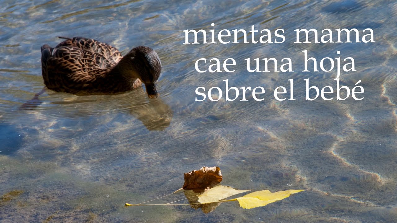 Haikus de Otoño con AGHA - OTOÑO CULTURAL JAPONÉS