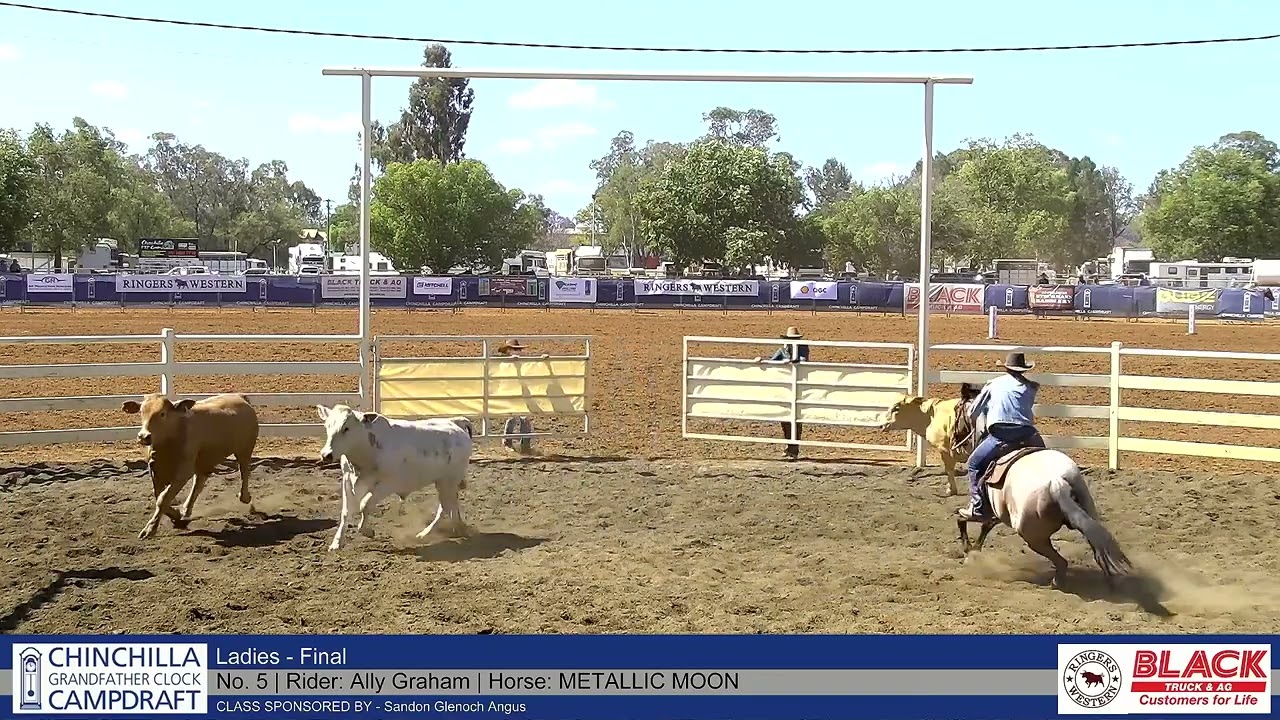 Ladies Final - 2023 Chinchilla Grandfather Clock Campdraft