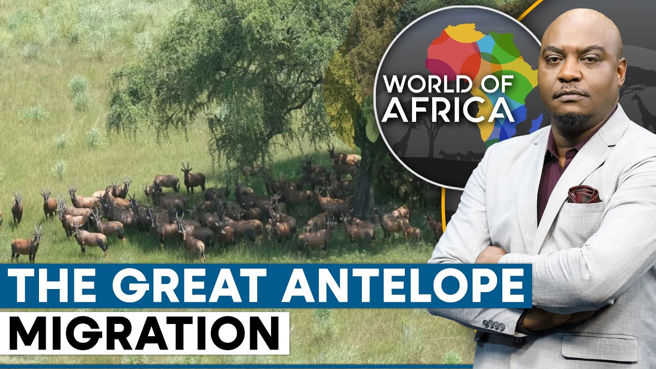 The Great Nile Migration discovered in south Sudan | World Of Africa