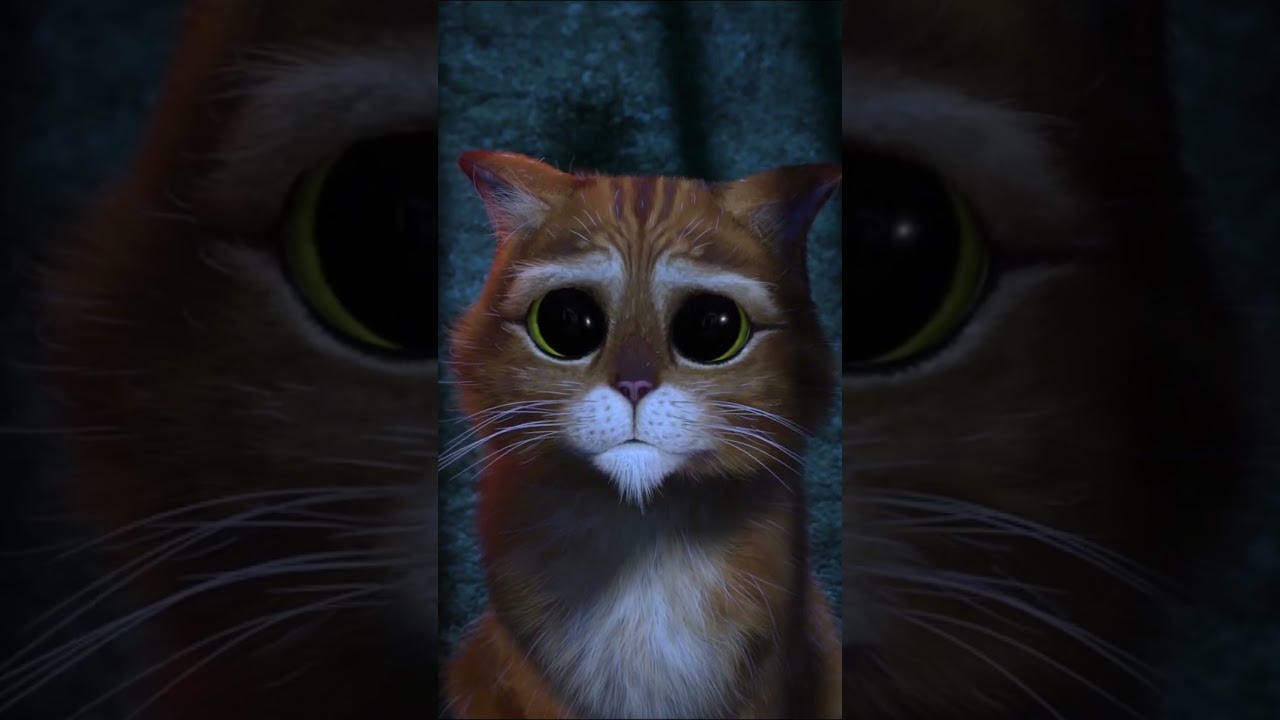 Cute only gets you so far 