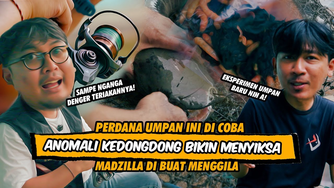 ASUPAN UMPAN TEROBOSAN  BIKIN MANCING PENUH KETEGANGAN! MADZILLA DI DIGEMPUR ABIS ABISAN!