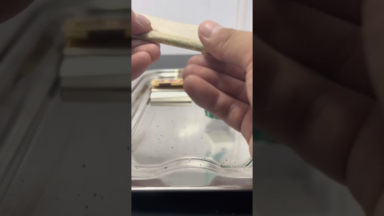 C&Oacute;MO ENROLAR UN BACKROLLED JOINT #tutorial #back #roll #joint