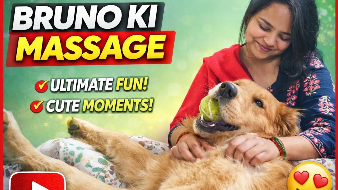 Bruno Enjoying Massage Time | Cute & Funny Dog VideoDog Massage Day 🐾 | Bruno Ka Relaxing Moment 
