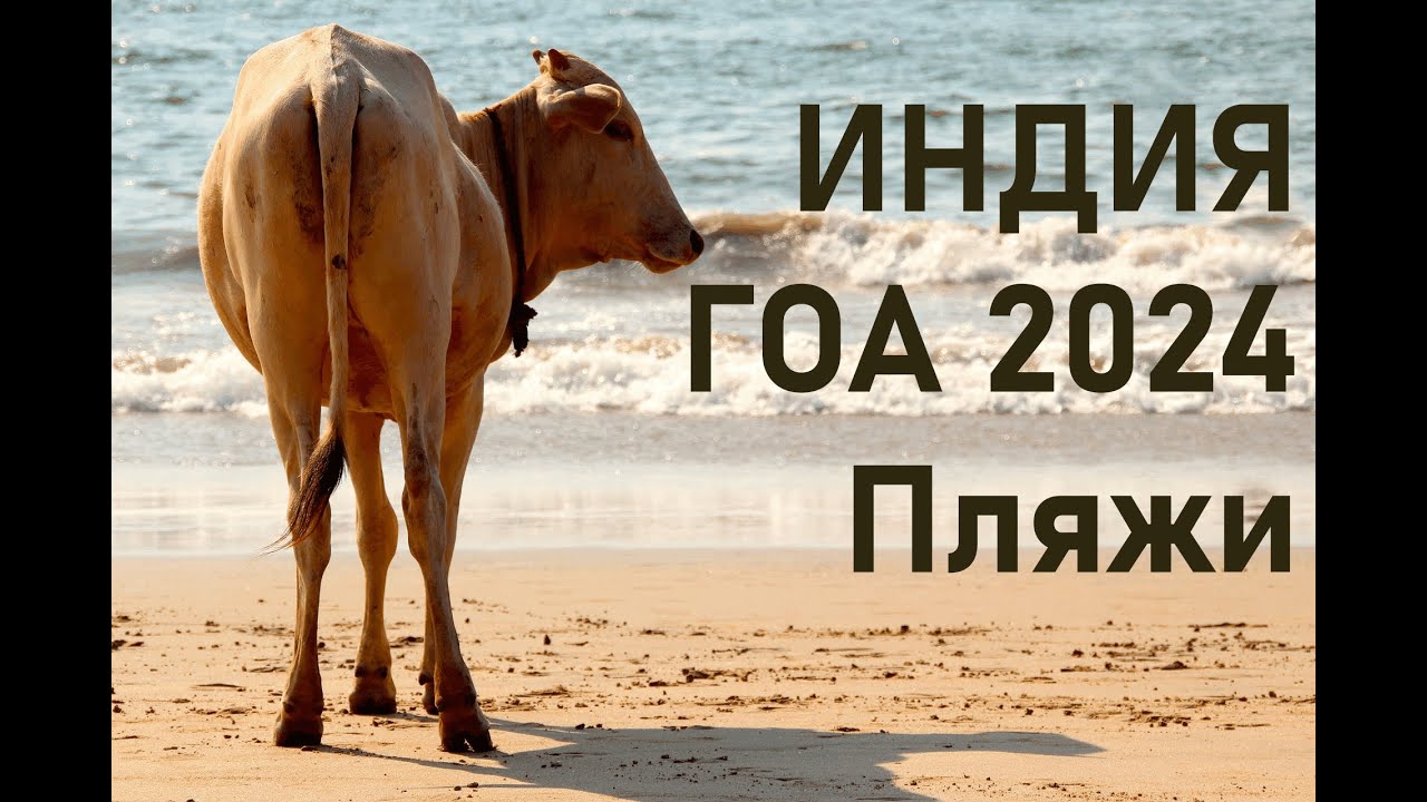 Пляжи Гоа 2024: Бага, Кандолим, Даболим, Варка, Маджорда, Бенолим, Колво