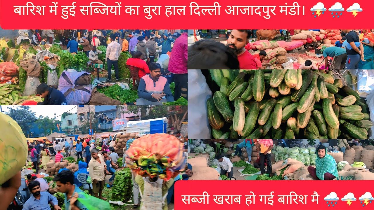 बारिश में हुई सब्जियों का बुरा हाल दिल्ली आजादपुर मंडी। 🫛🍅🍆 #aazadpurmandi