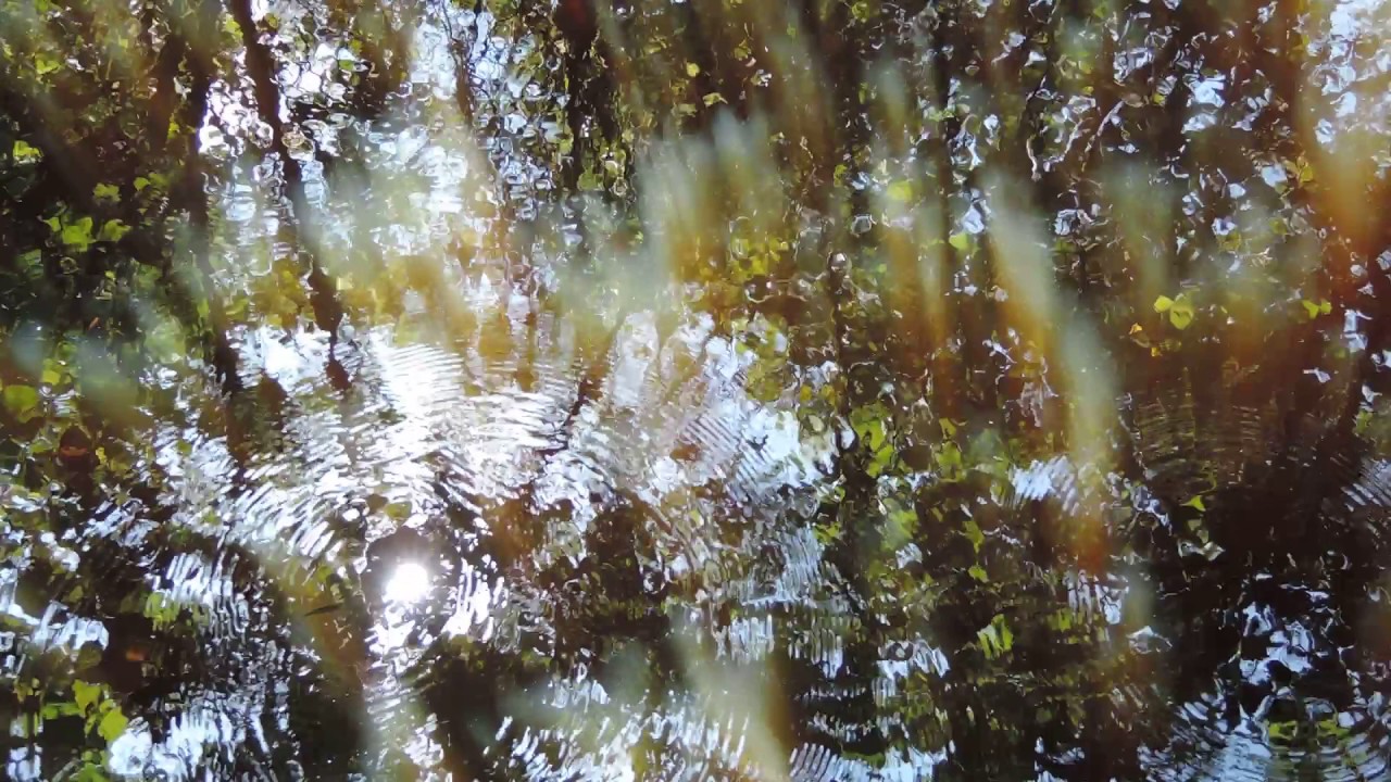 DSCN0666