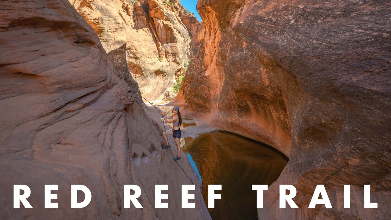 HIKING ST. GEORGE, UTAH'S MOST UNDERRATED TRAIL!