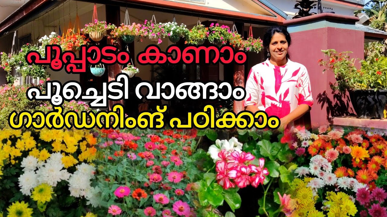 സൂപ്പർ പൂപ്പാടം. വെറൈറ്റി പൂച്ചെടികൾ... വീടിനു ചുറ്റും മനോഹര ഗാർഡൻ.J4U Tips ജിഷ.+91 94950 32377