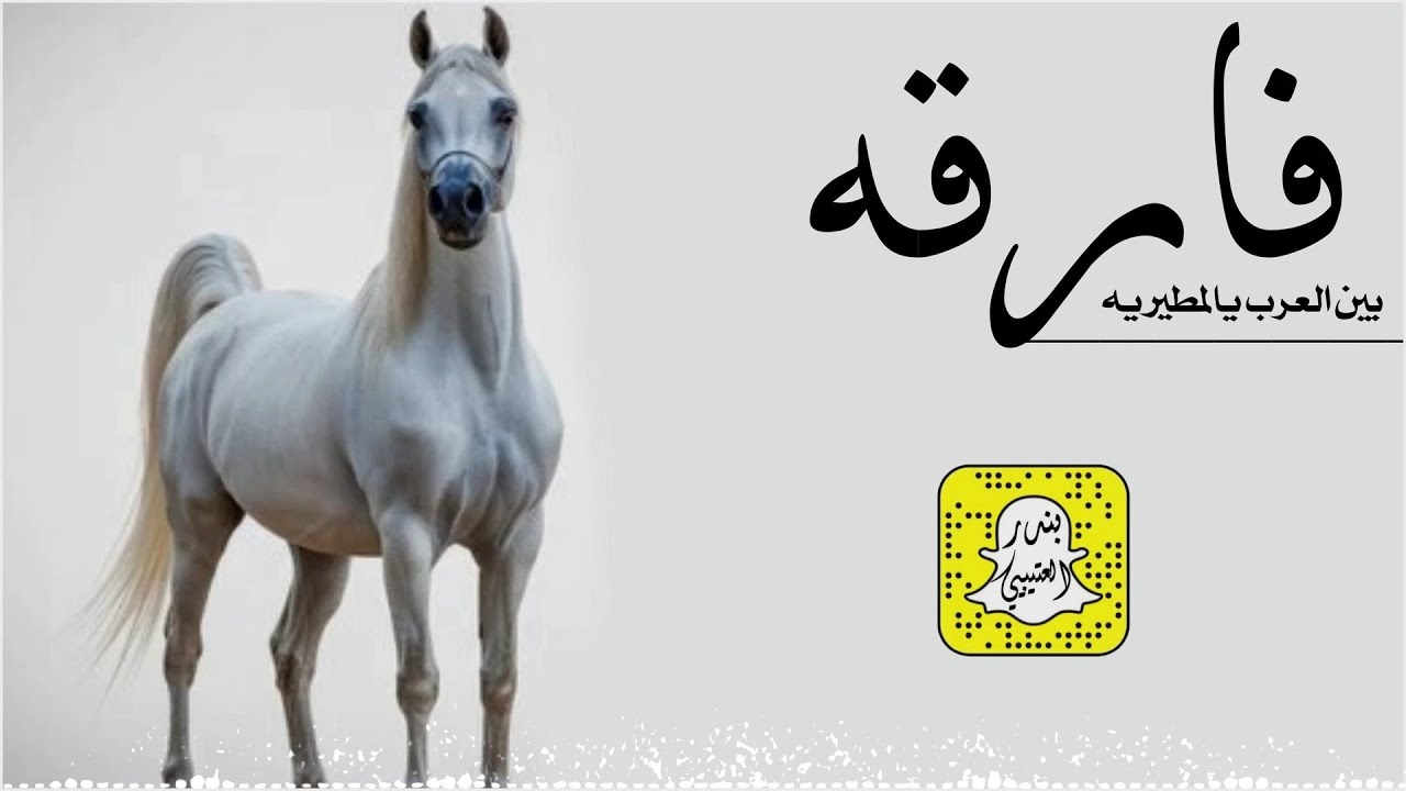 فارقه بين العرب يالمطيريه - مهرتن مع زينها صيتها عالي اداء سعد محسن 2025 حصرياً