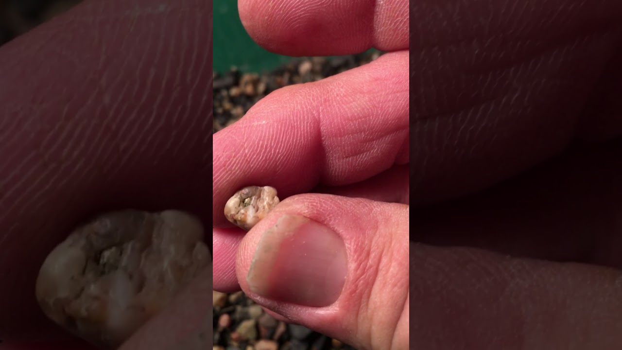 Gold specimen in glacial deposits found in southern Illinois!!