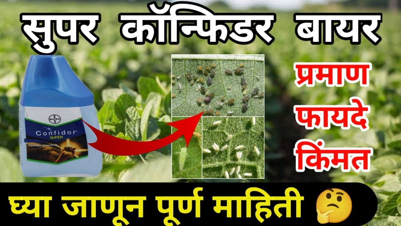 Bayer super Confidor || बायर सुपर कॉन्फिडर || Imidacloprid 350 Sc #insecticide #superconfidor