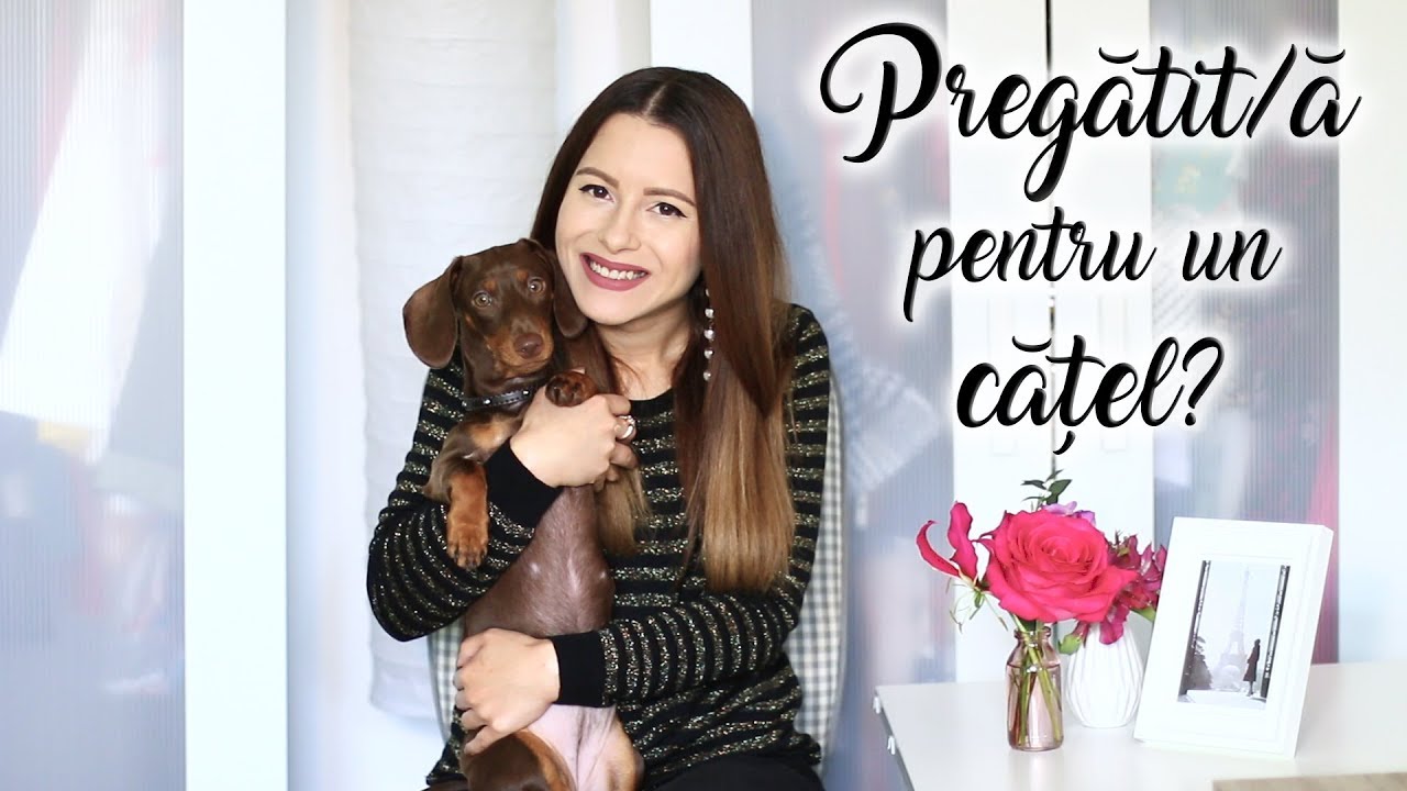 Cum stii ca esti sau nu pregatit/a sa iti iei sau sa adopti un caine | #MyLifeWithLola