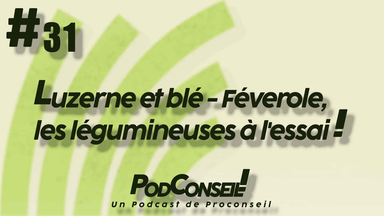 PodConseil #31 - Luzerne et blé-féverole, les légumineuses à l'essai !
