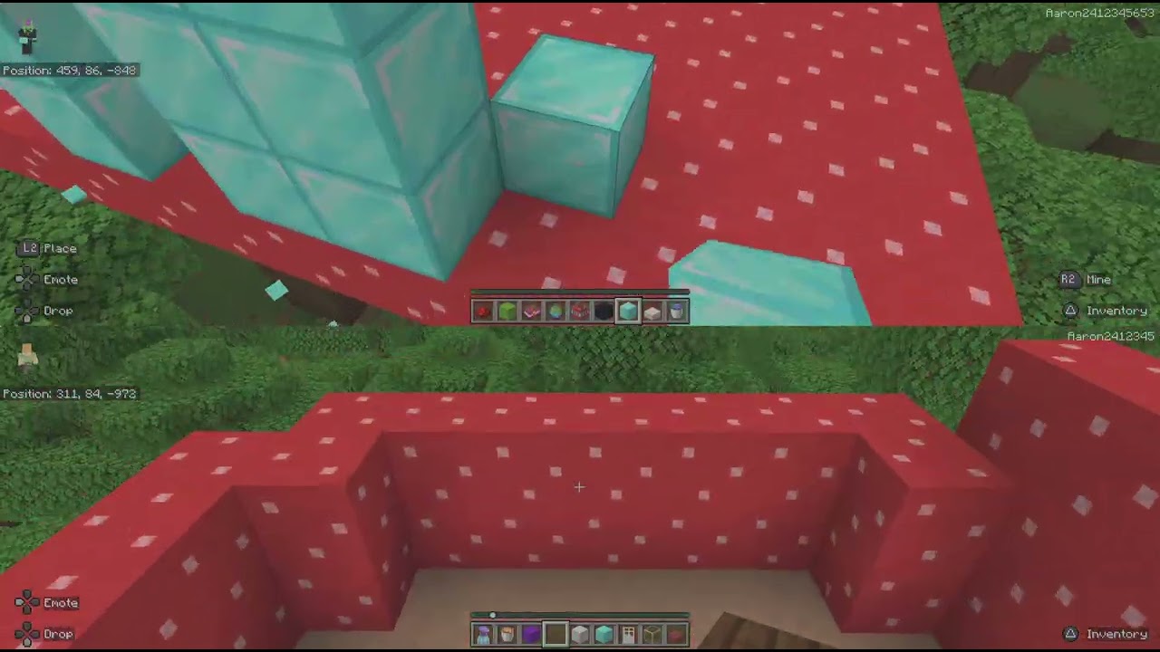 Minecraft_20260117162517