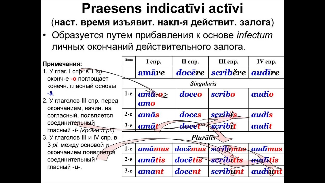 Praesens indicativi латинских глаголов