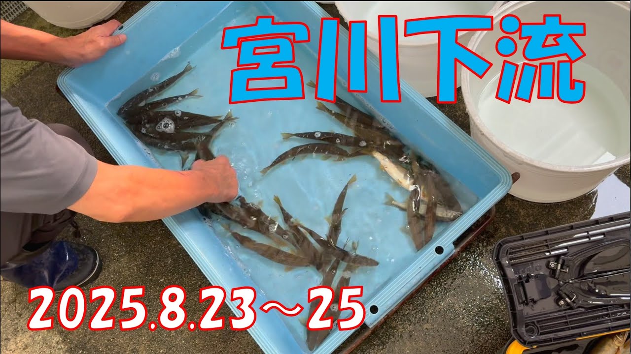 宮川下流2025.８.23～25