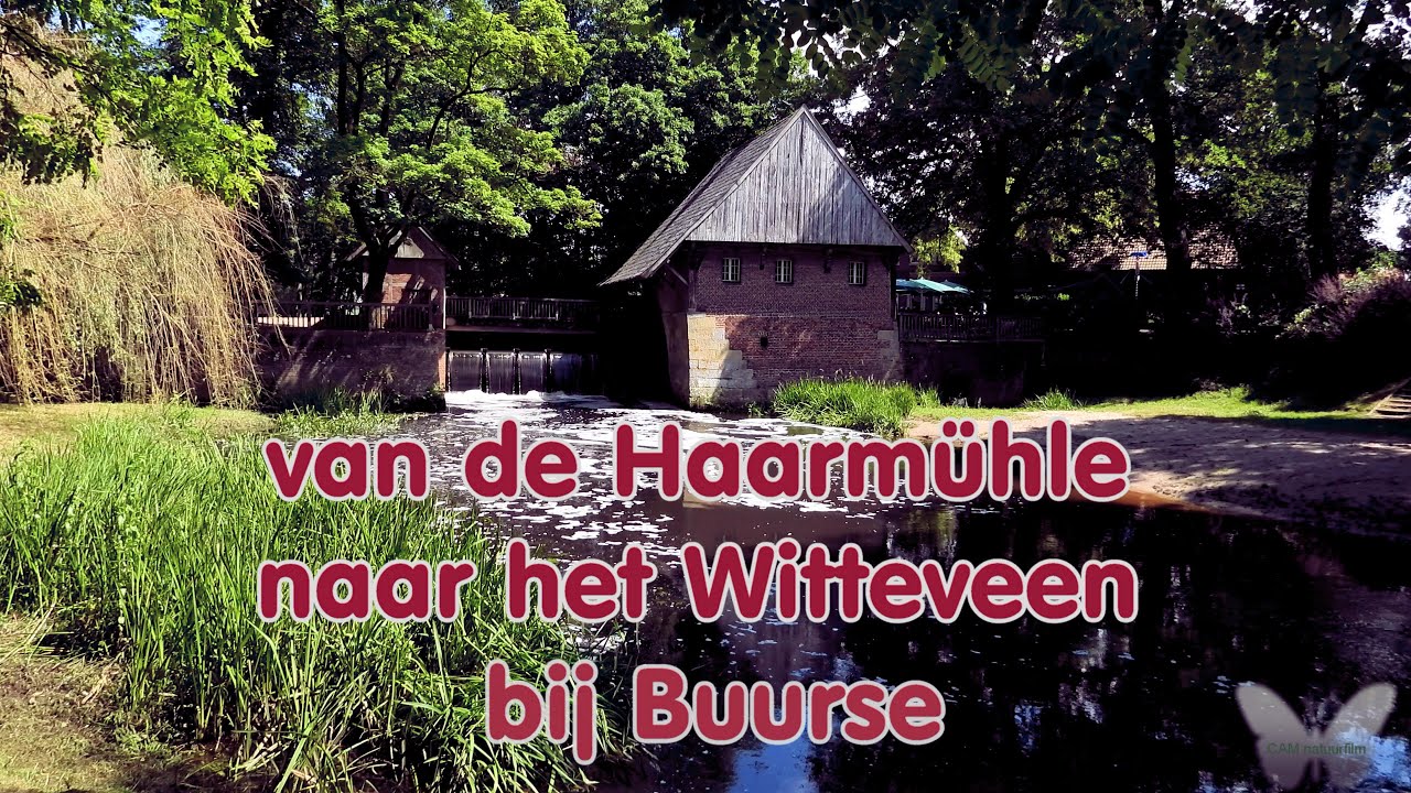 Haarmühle bij Buurse en omgeving