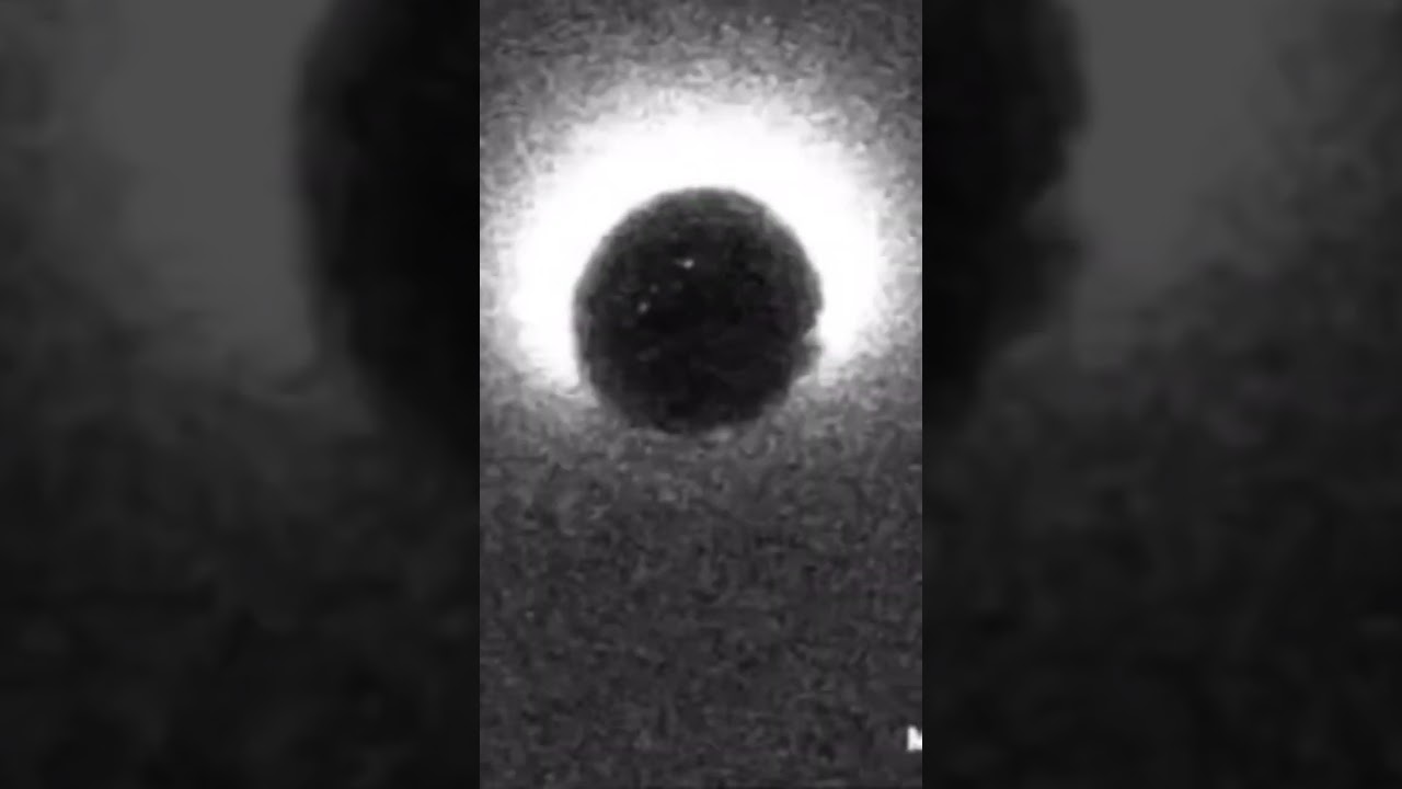 There's a flash at the moment of conception