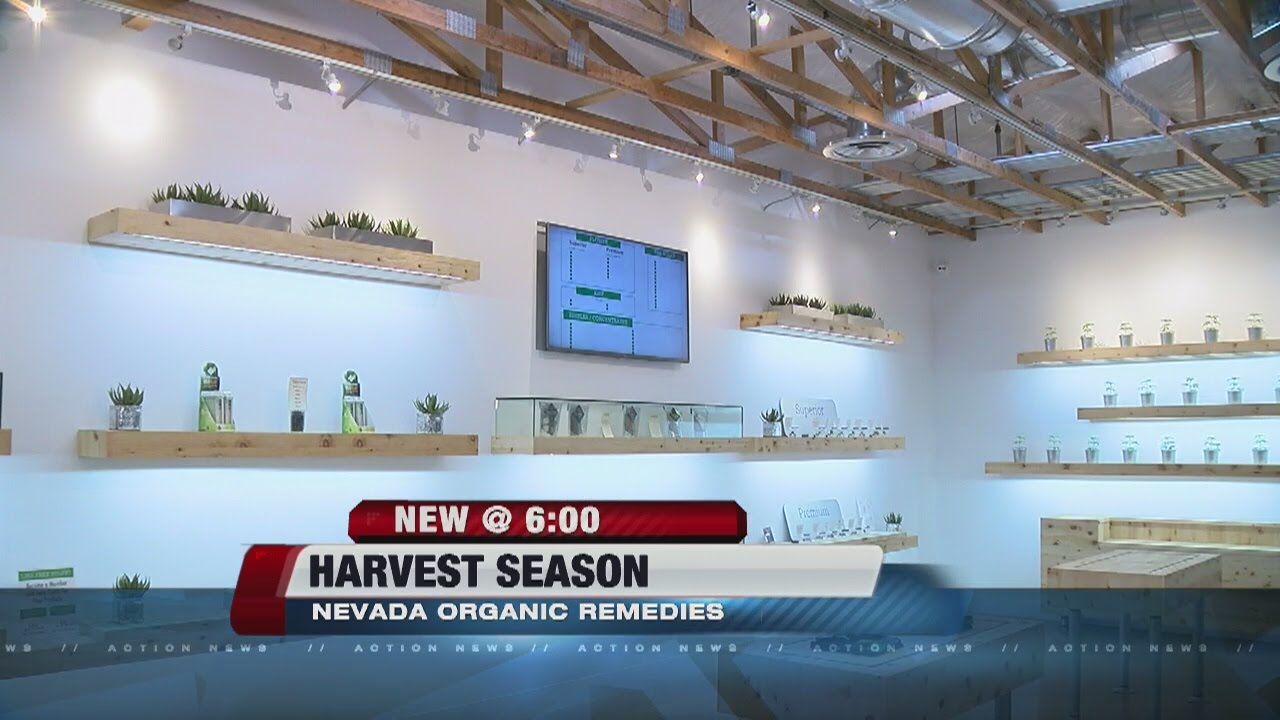 Medical marijuana shop growing its own product