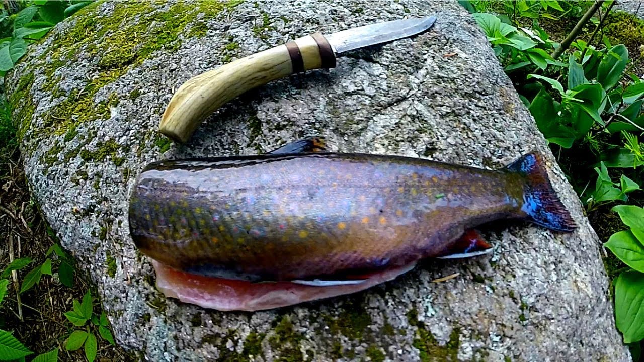 Overnight BACKPACKING FISHING Trip To REMOTE NH Trout Pond - (Catch, Cook, Camp)