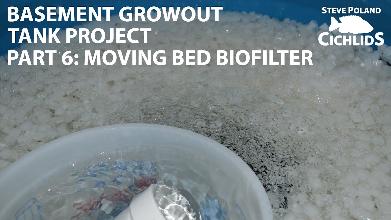 (6 of 8) Basement Growout Tank Project - Moving Bed Biofilter